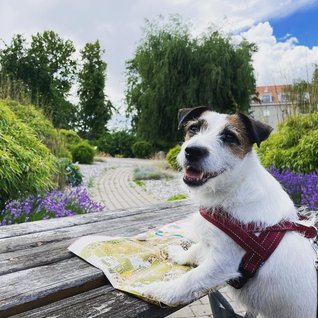 Margareta_Frans - Hund och karta
